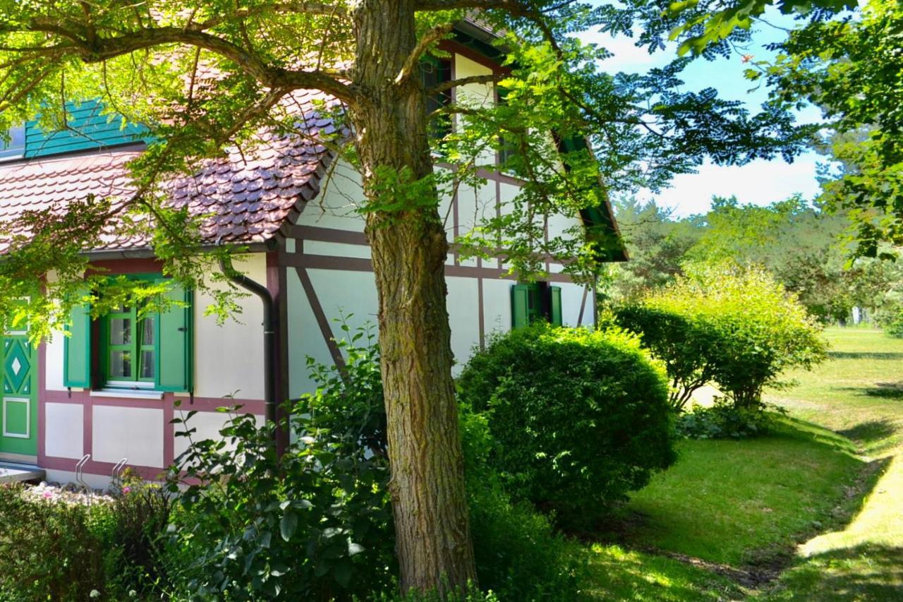 Strandnahe Ferienwohnung Ruegen Dranske Esterno foto